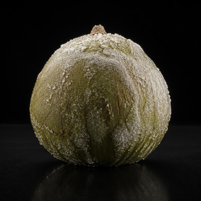 Gelo de Coco